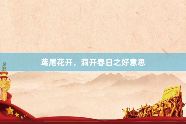 鸢尾花开，洞开春日之好意思