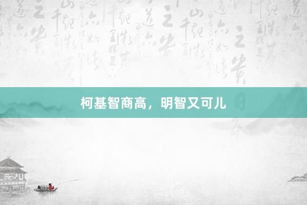 柯基智商高，明智又可儿