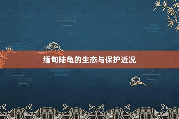 缅甸陆龟的生态与保护近况